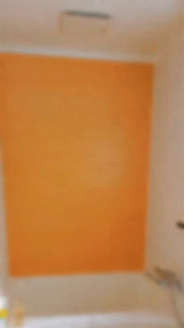 新しいときめき✨